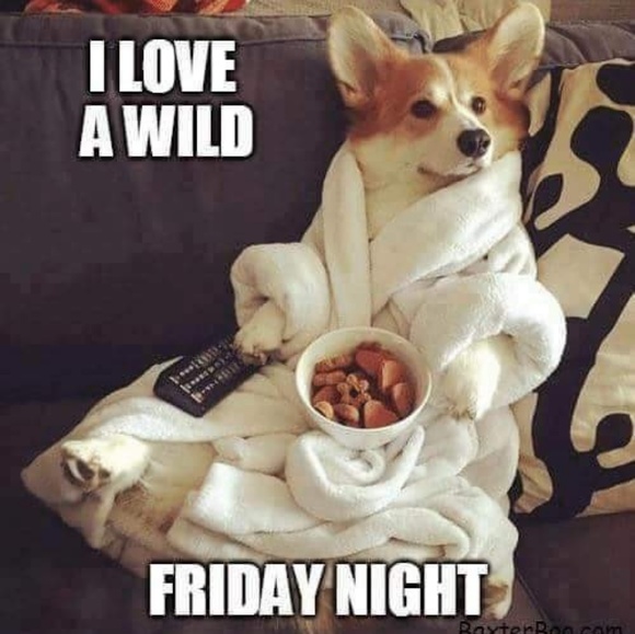 XRAY MONK DRESS/CASUAL - Picture 7 of 7